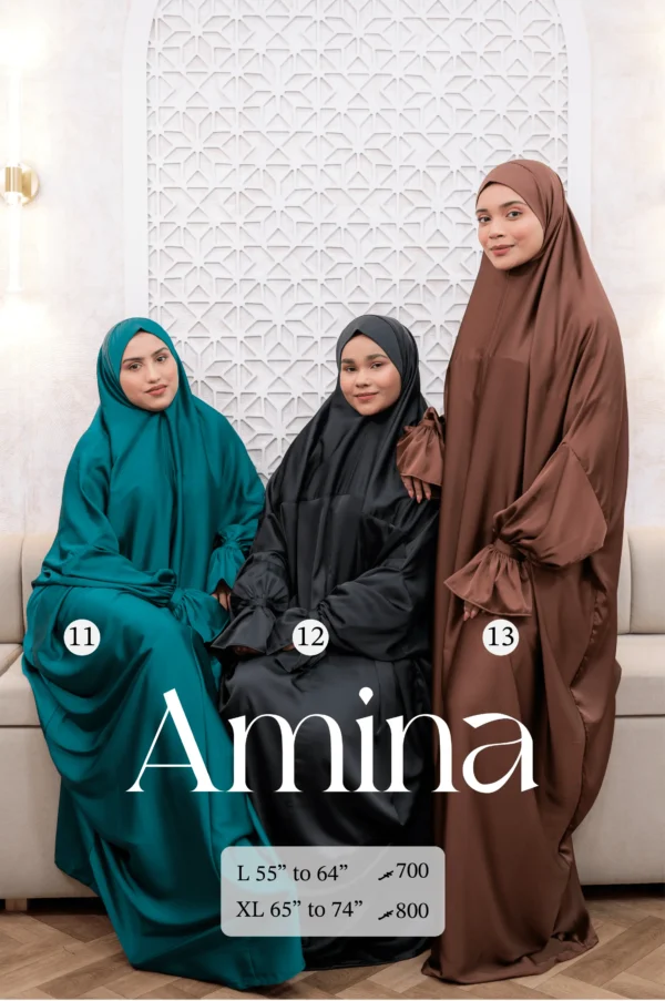 Amina - Image 5